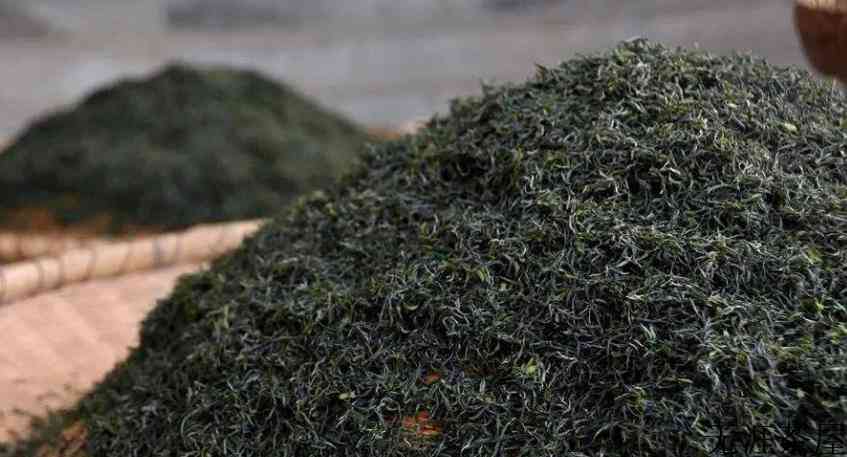 信阳毛尖茶的制作工艺