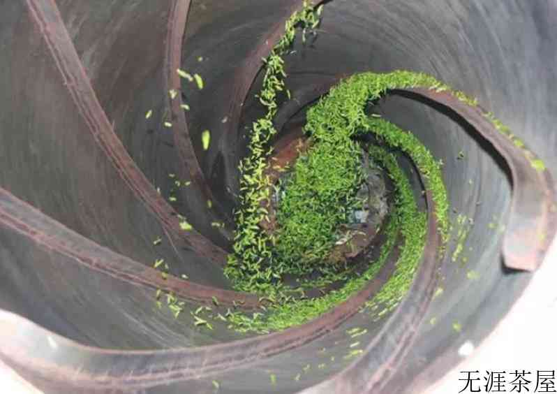 信阳毛尖茶的制作工艺