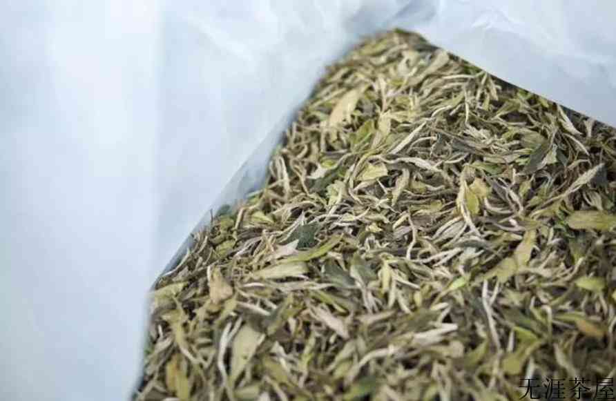 老白茶存放
