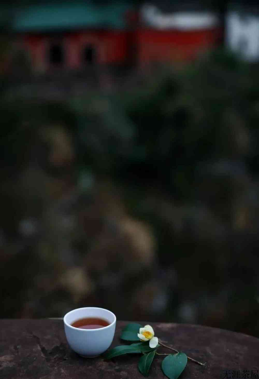 入冬，饮茶就对了