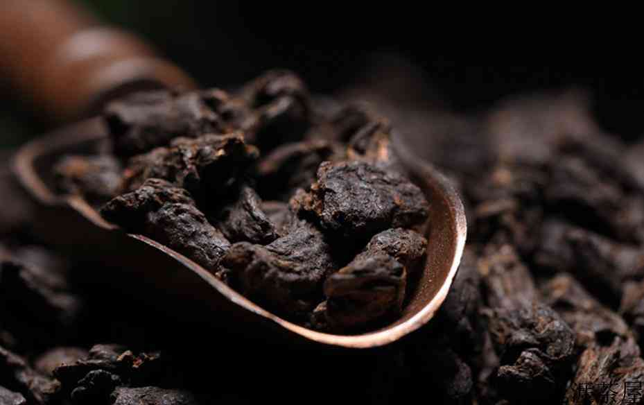 茶化石是什么茶