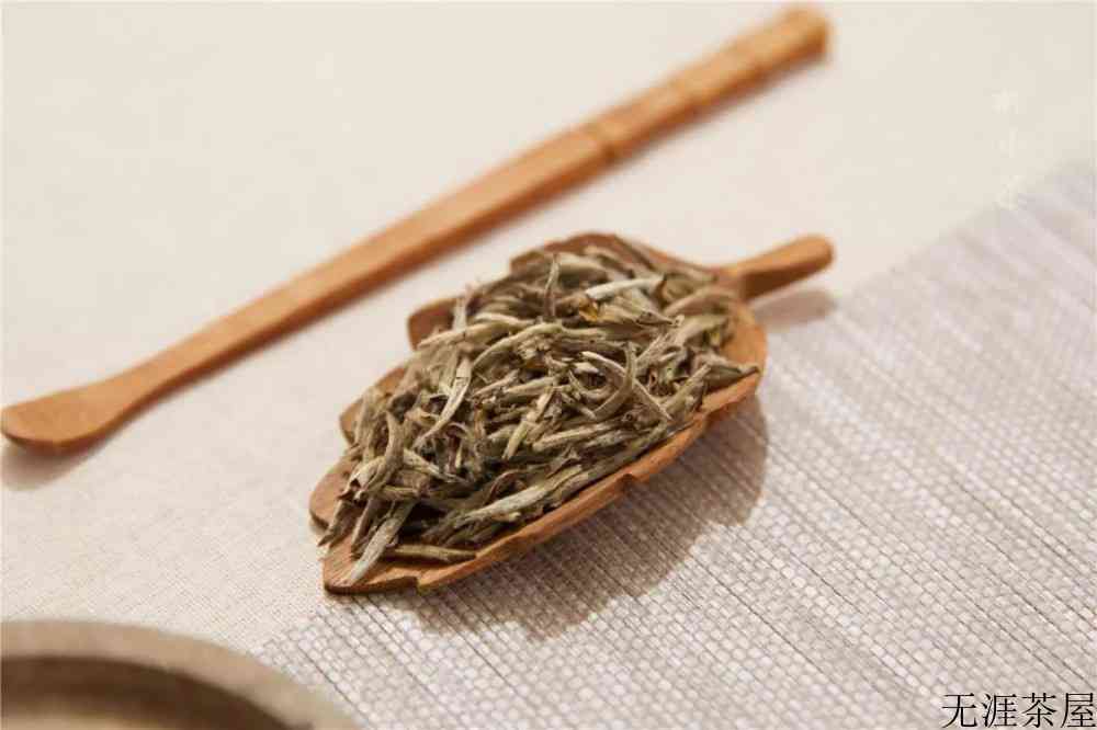 喝白茶的好处