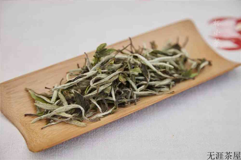 喝白茶的好处