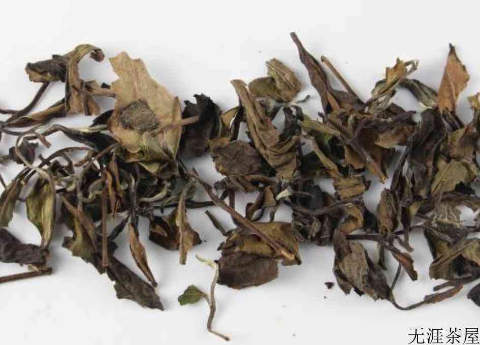 喝白茶的好处