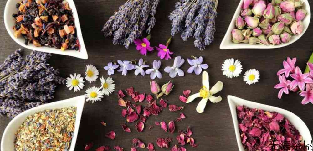 花茶有哪些