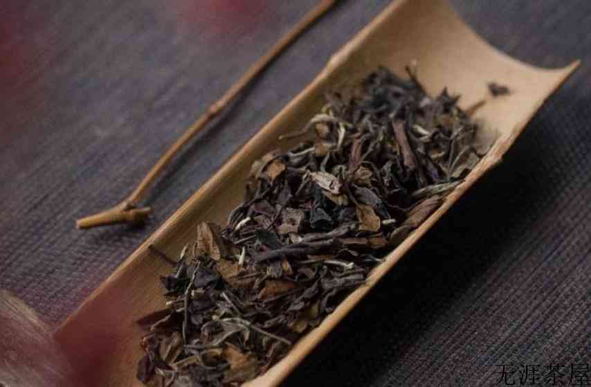 福鼎白茶需要煮吗