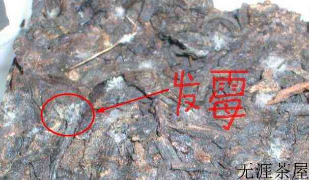 茶叶长白毛了还能喝吗