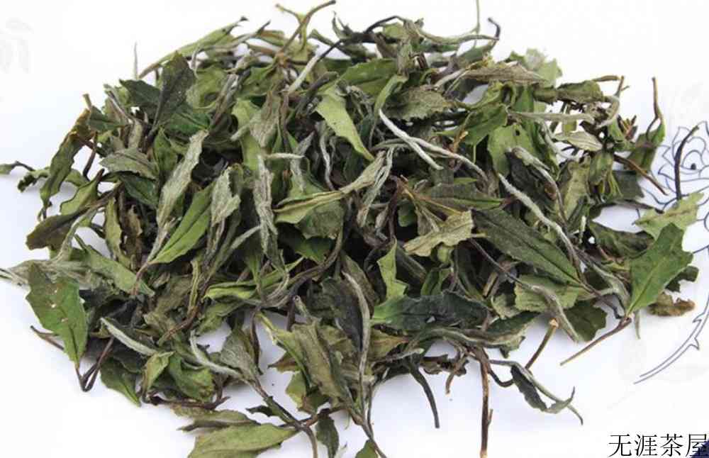老白茶产地在哪个省