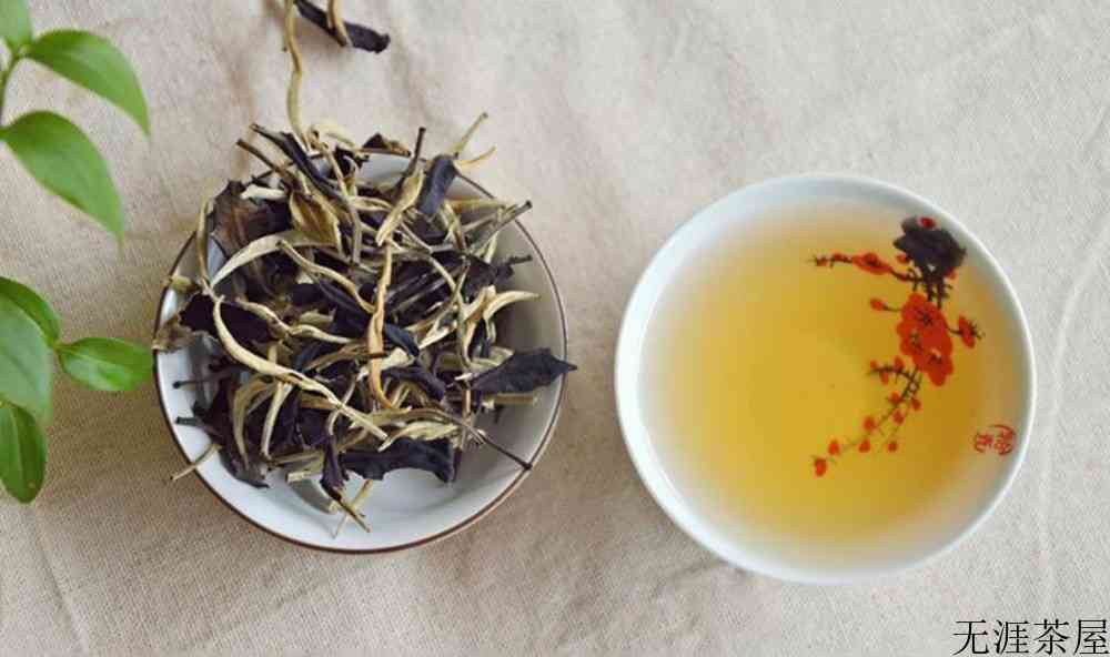 老白茶产地在哪个省