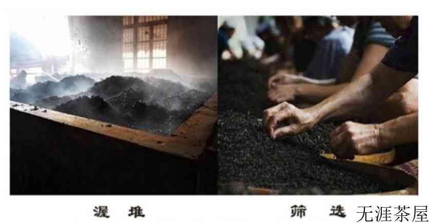后发酵茶有哪些