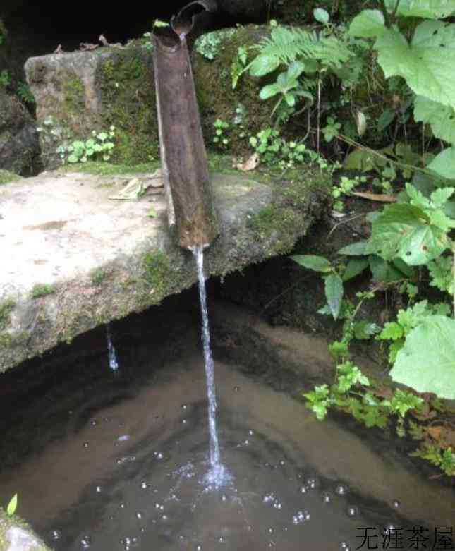 泡茶用纯净水还是山泉水