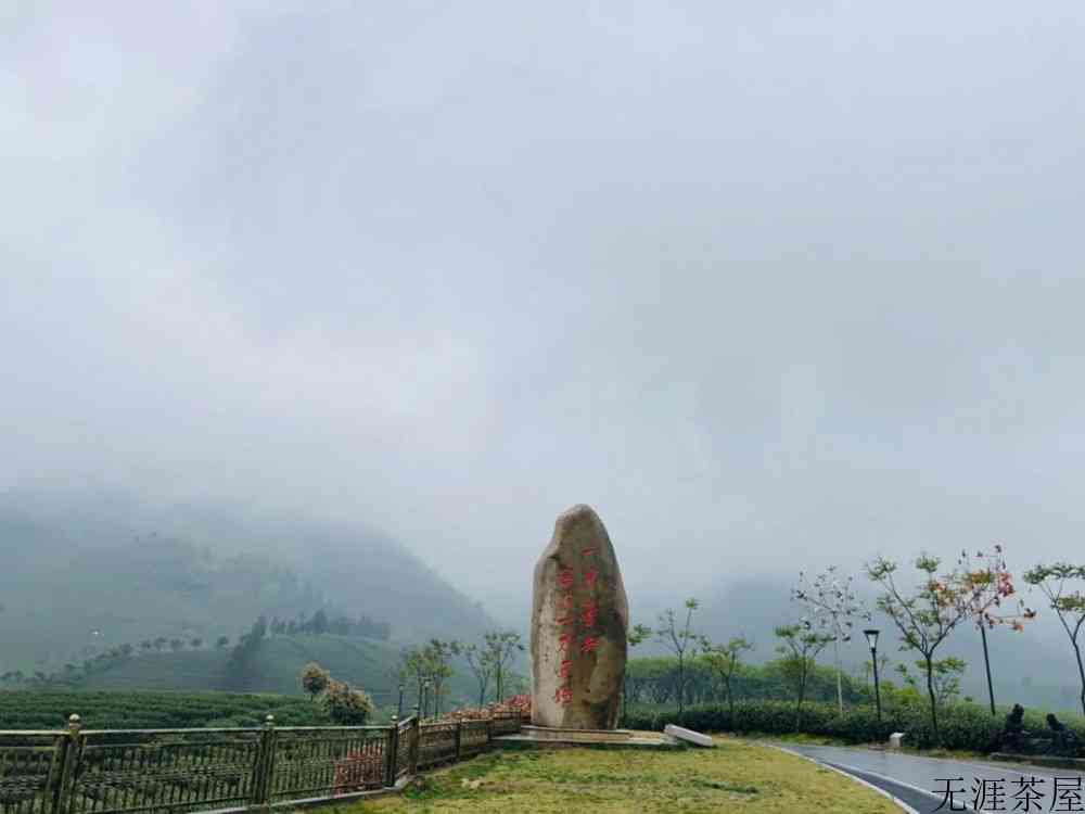 安吉白茶产地在哪里