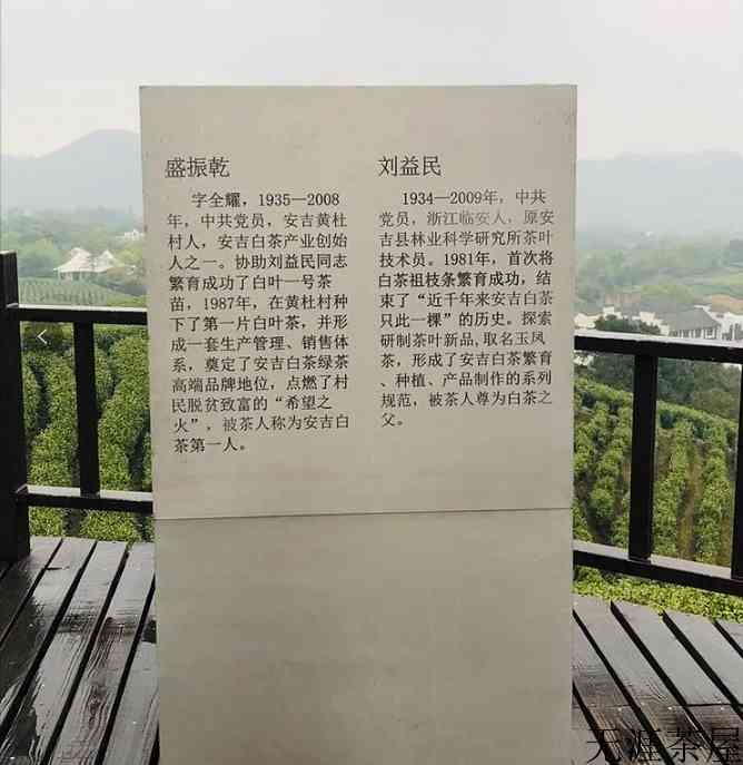 安吉白茶产地在哪里