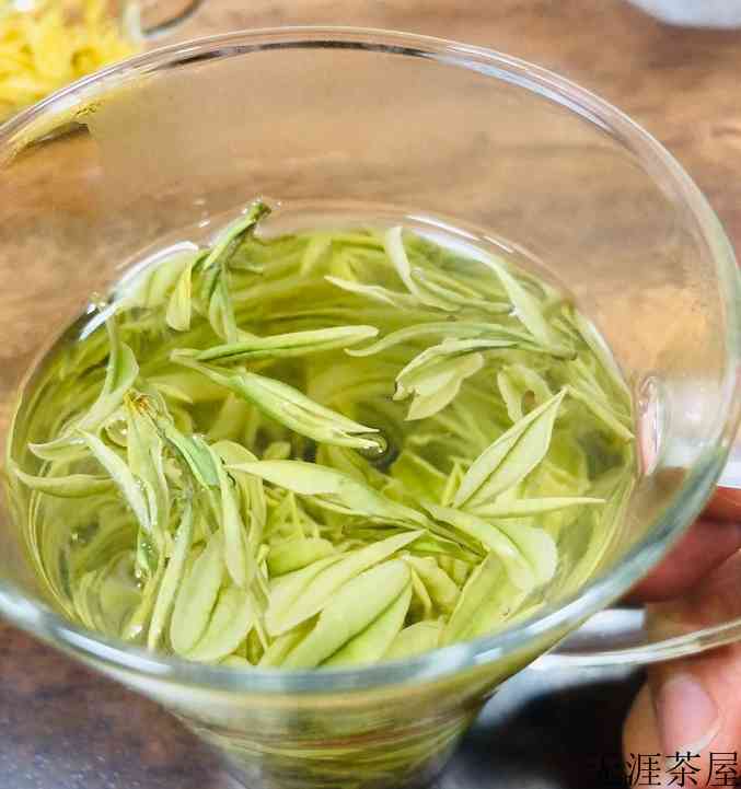 安吉白茶产地在哪里