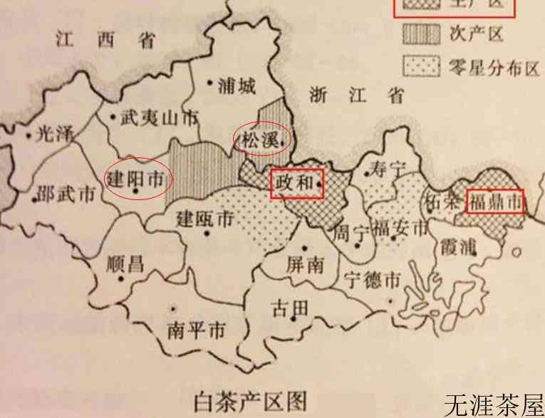白茶产地是哪里