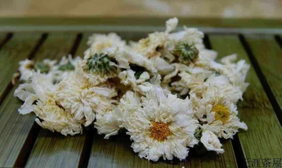 泡菊花茶用什么杯子