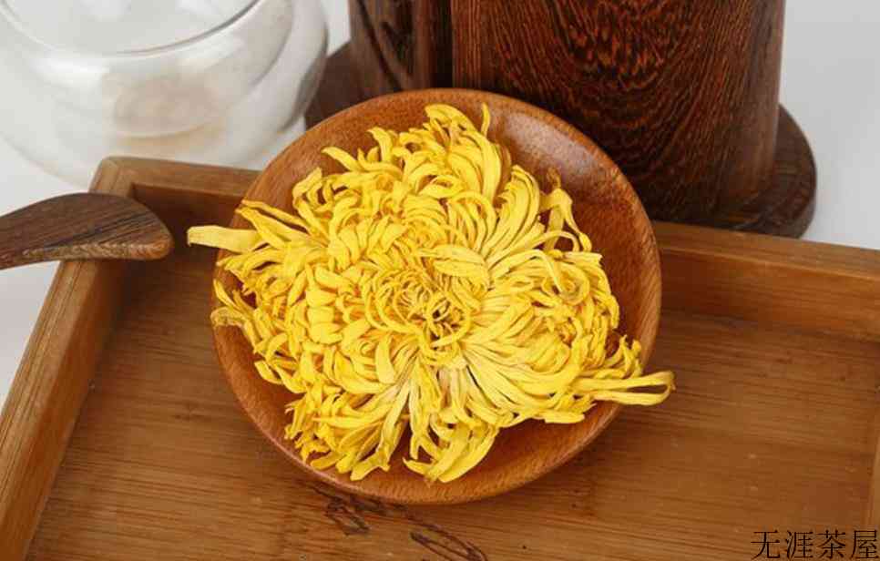 金丝皇菊产地