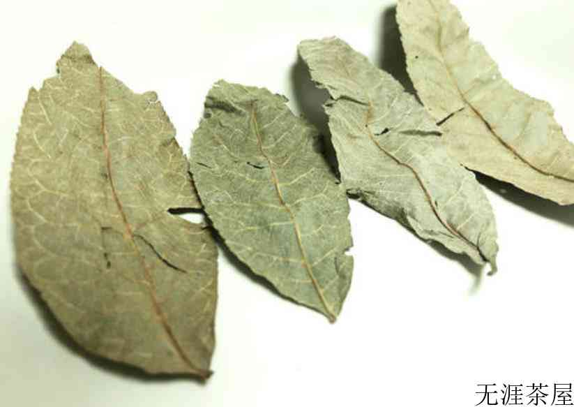 青钱柳茶产地什么地方