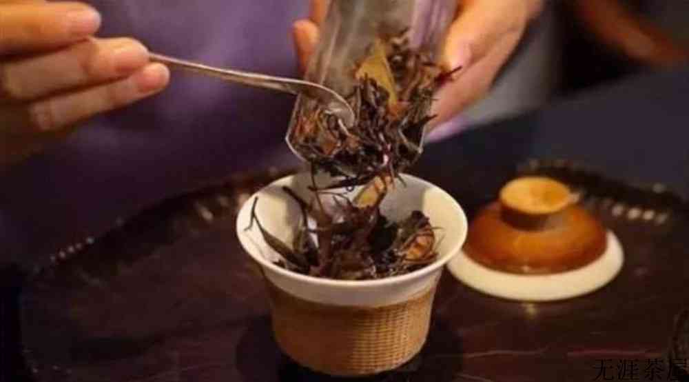 白茶可以和什么一起泡