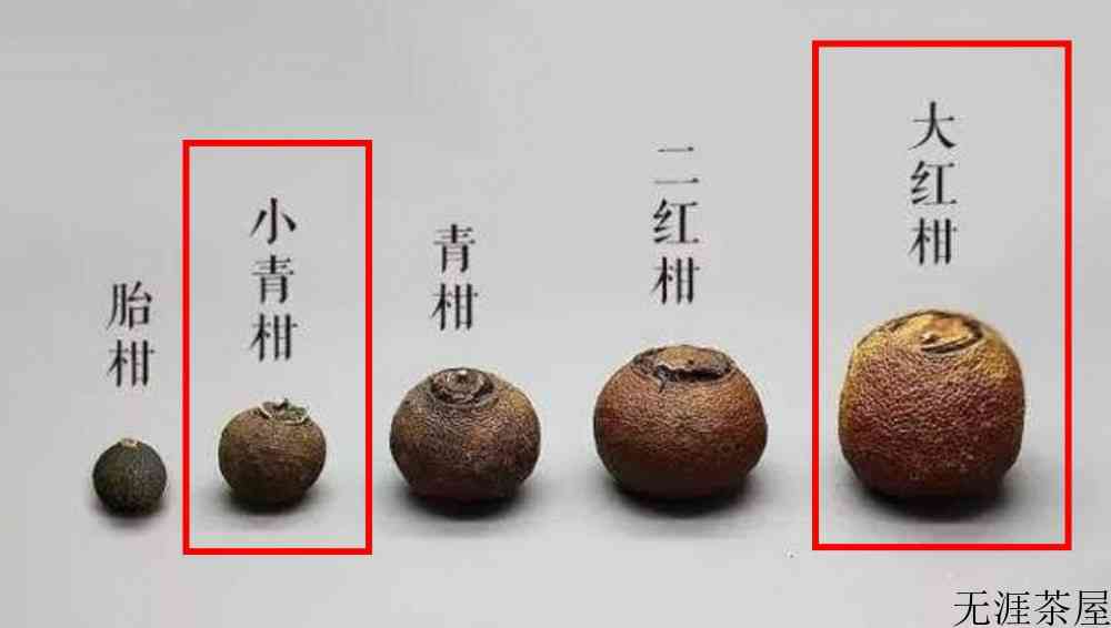 大红柑与小青柑的区别