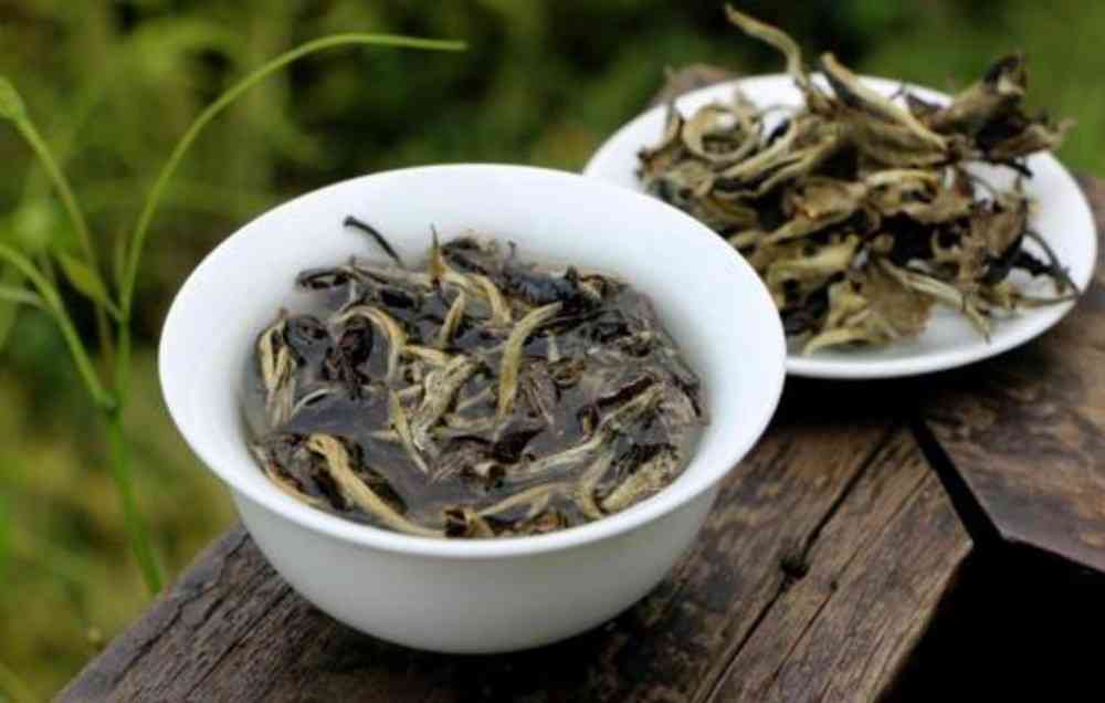 普洱白茶属于什么茶