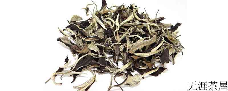 普洱白茶属于什么茶