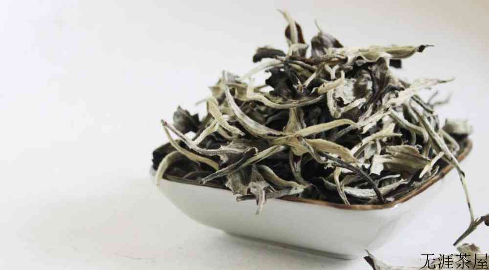 普洱白茶属于什么茶
