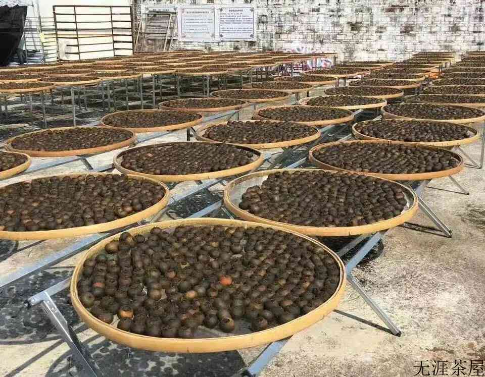 青柑普洱是红茶还是绿茶