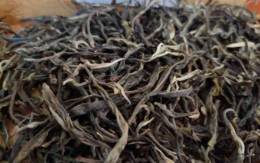 大雪山古树茶产地