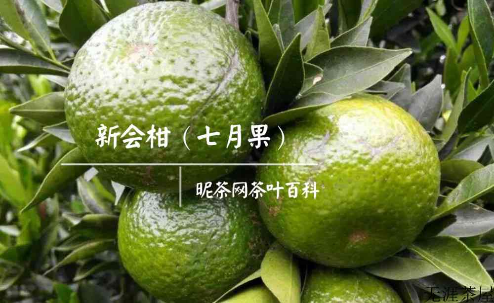 小青柑是生普洱吗