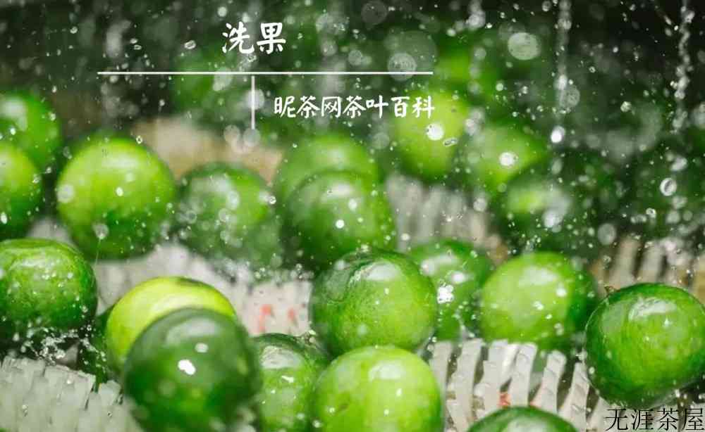 小青柑是生普洱吗