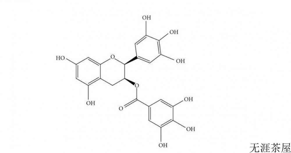 茶多酚是什么东西