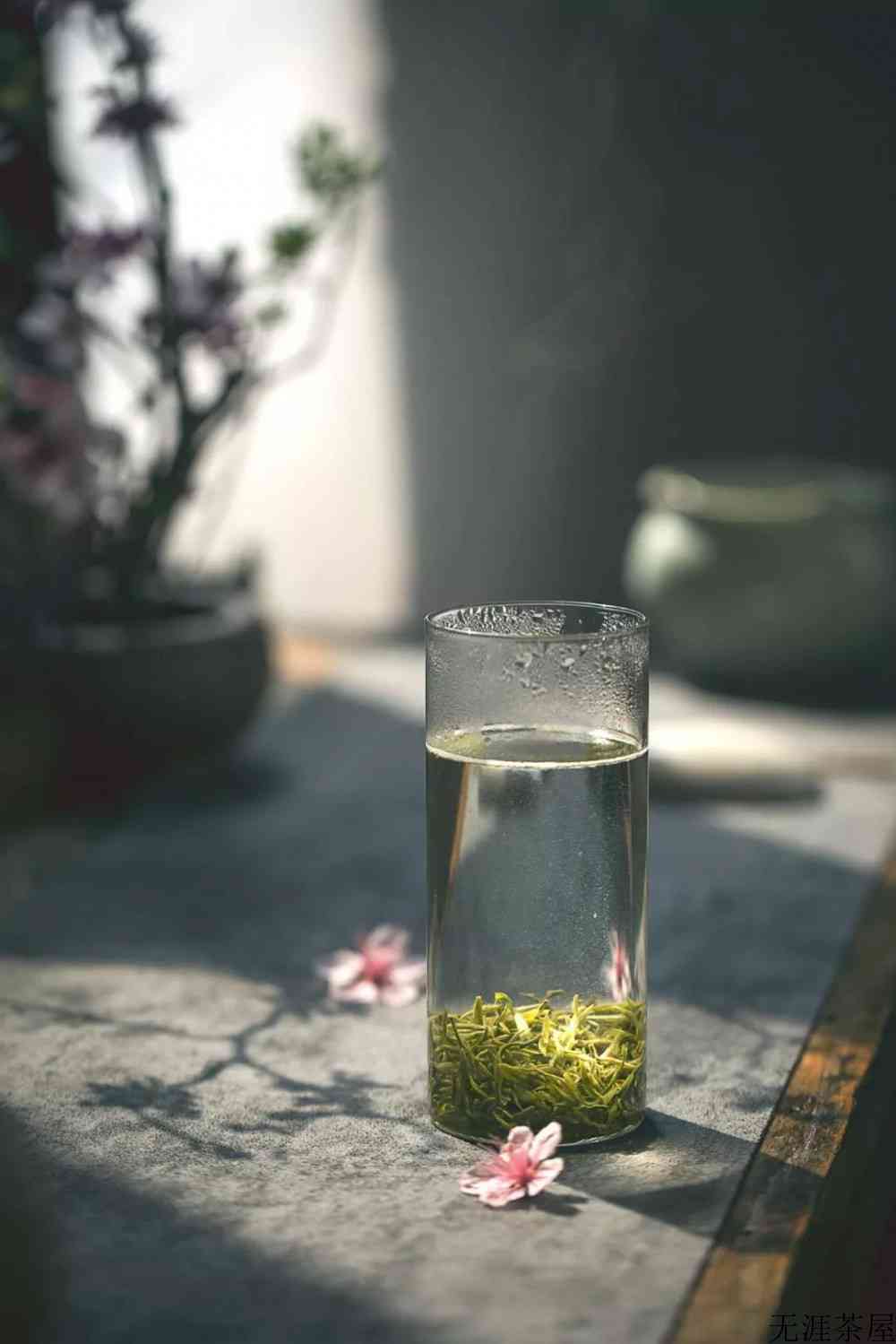 绿茶冬天可以喝吗
