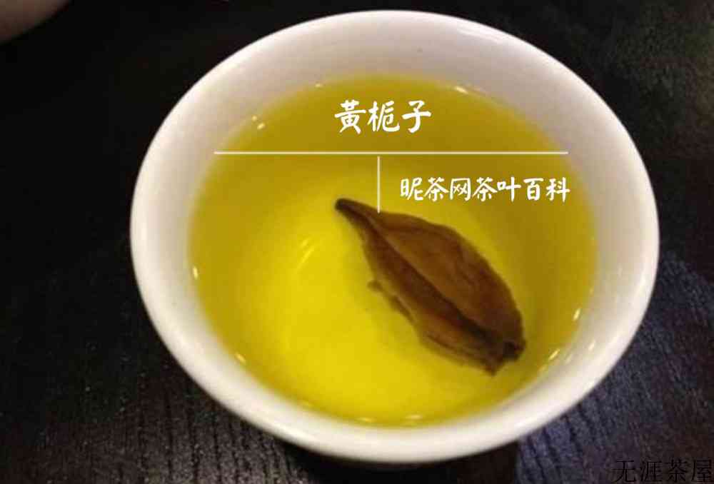 栀子的功效与作用