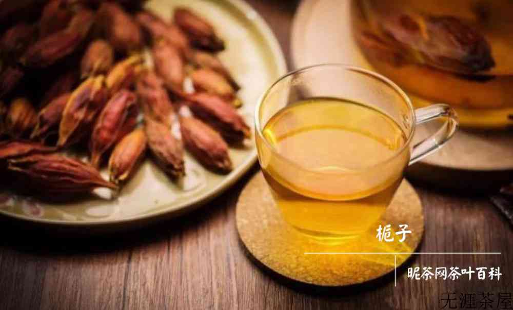 栀子的功效与作用