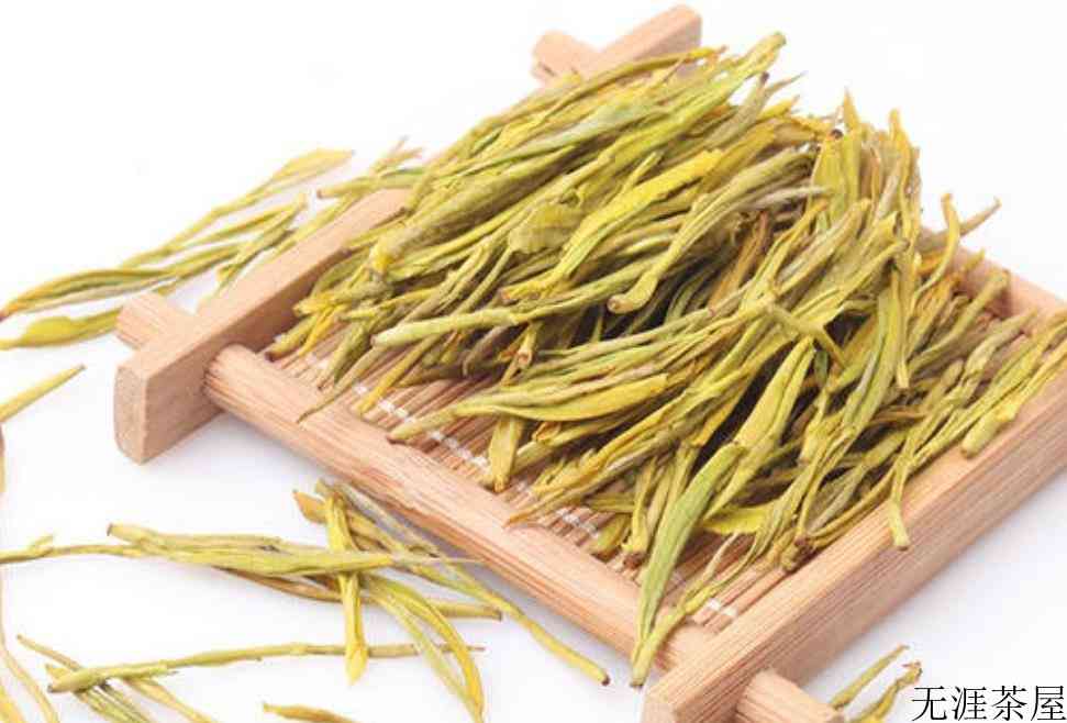 茶叶属于凉性还是热性