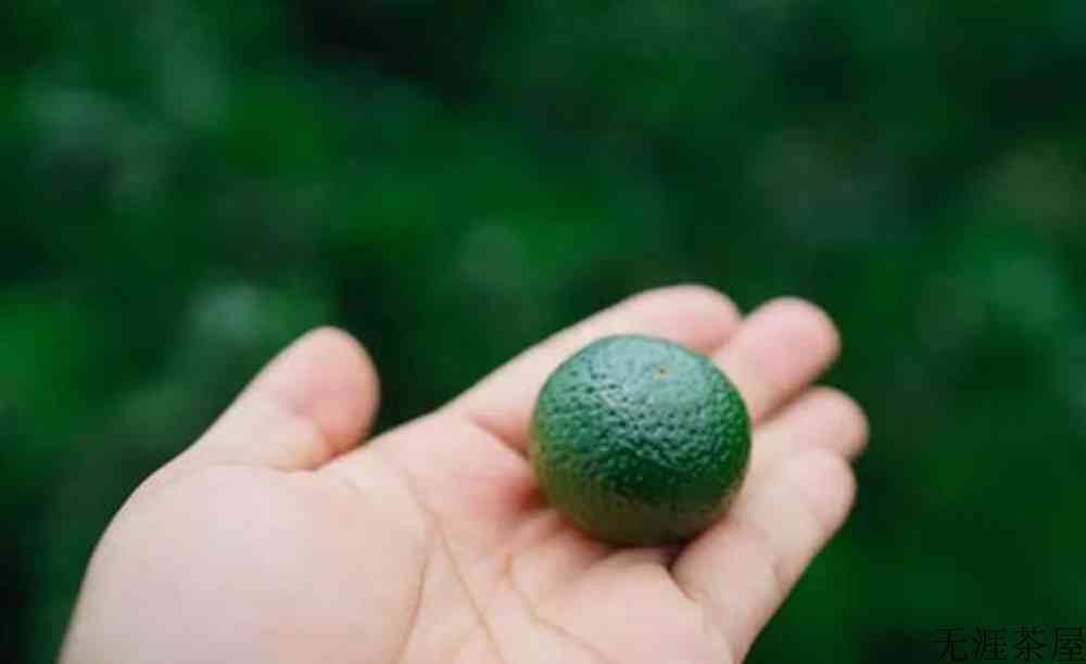 什么样的小青柑好