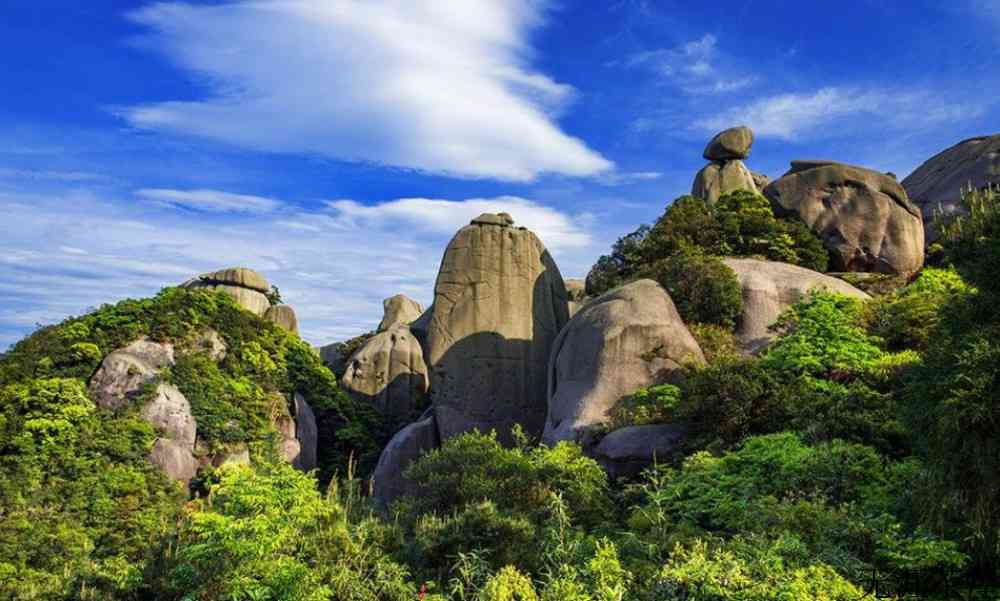 正宗福鼎白茶产地在哪里