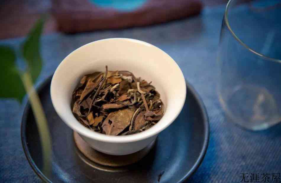 白茶是泡着喝还是煮着喝