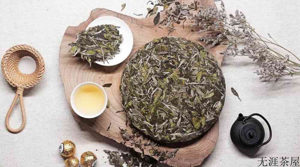 福鼎白茶属于什么茶