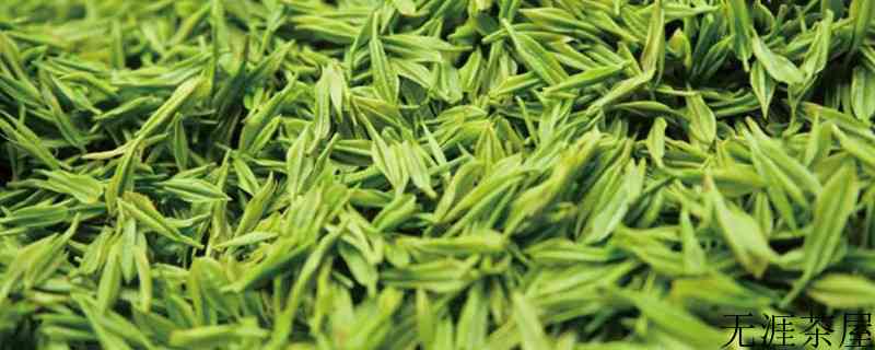 资溪白茶属于绿茶吗