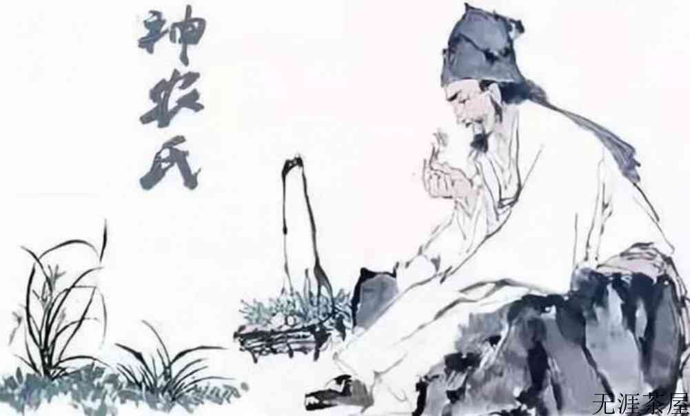 茶的历史和发展