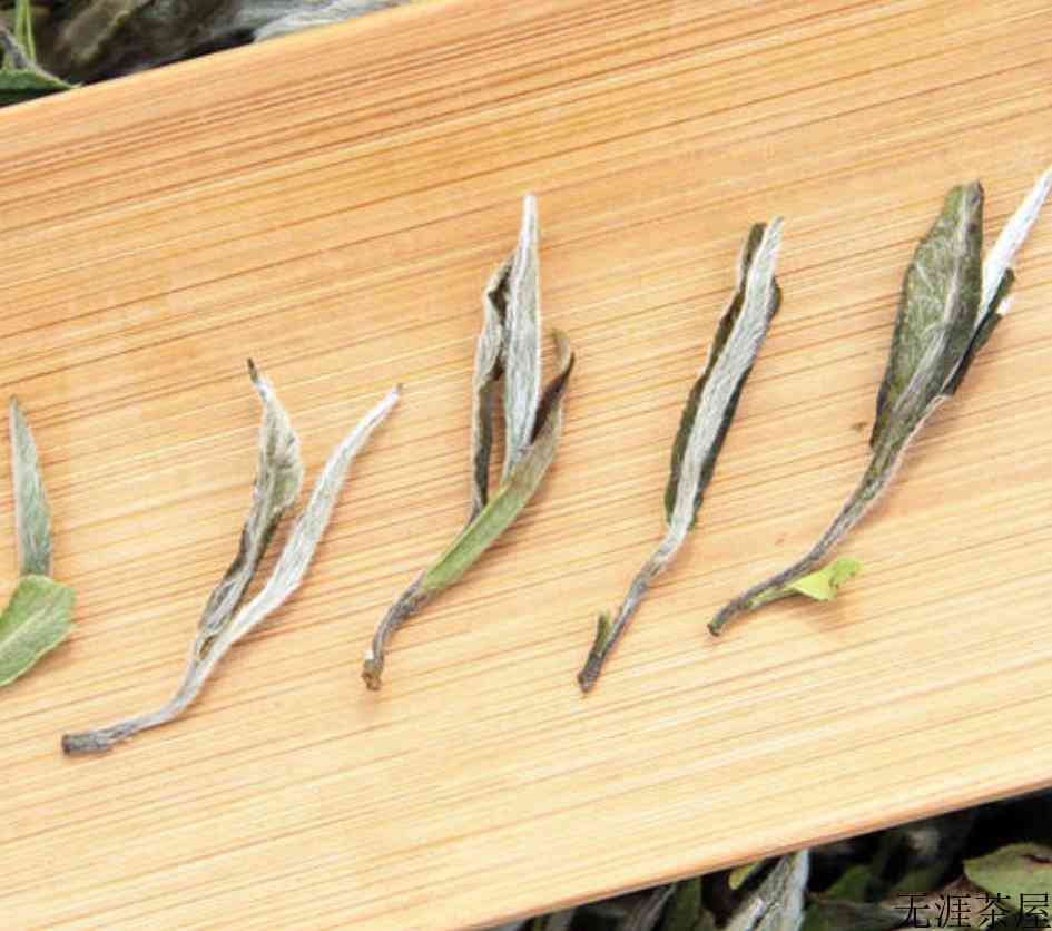 常见白茶有哪些品种