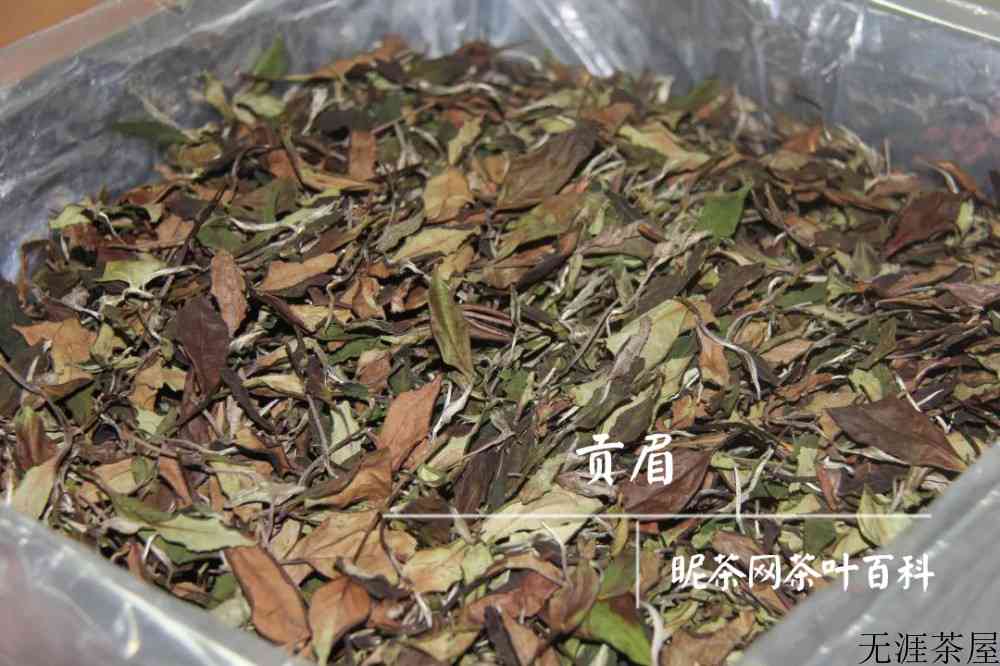 常见白茶有哪些品种