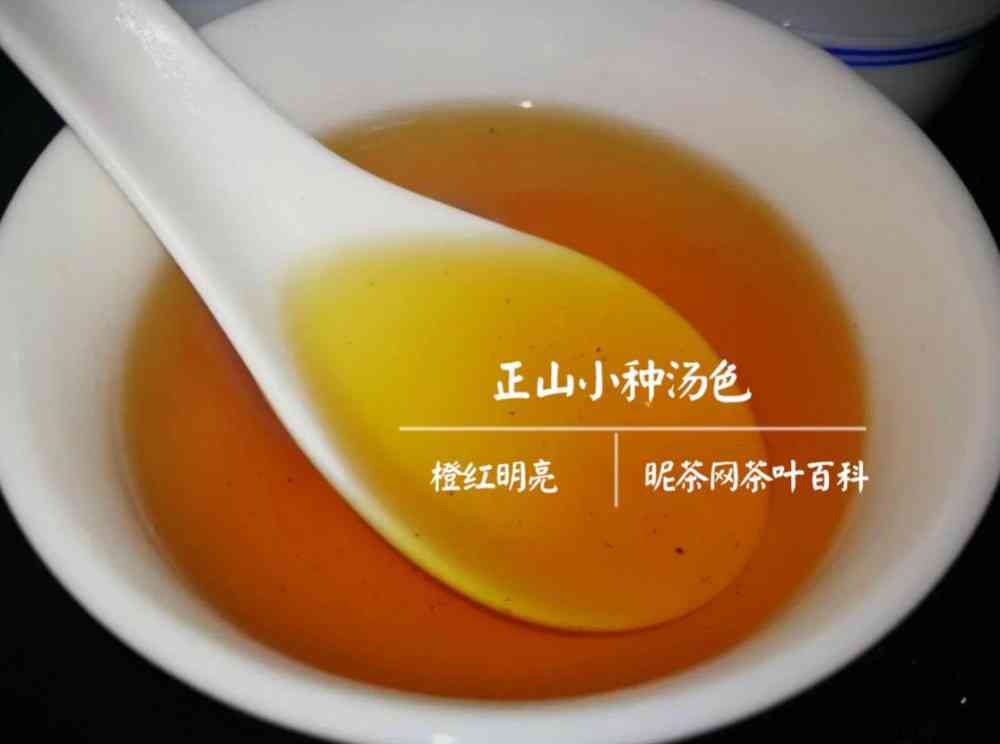 正山小种茶能不能煮