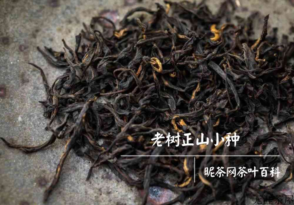正山小种属于红茶还是绿茶