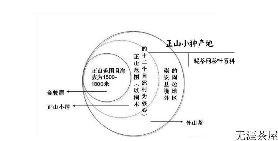 正山小种属于红茶还是绿茶