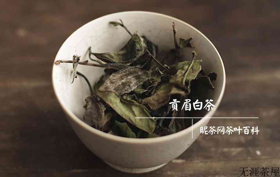 白茶的功效与作用禁忌