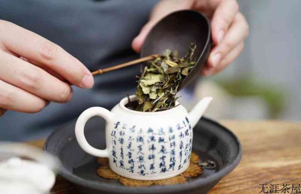 白茶功能功效与作用
