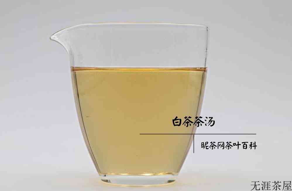 白茶功能功效与作用